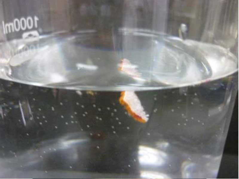 試驗(yàn)片開(kāi)始沉降